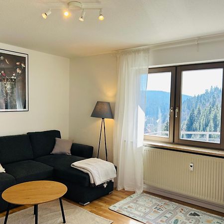 Ferienwohnung Panoramablick - Super Fuer Deine Familie Und Die Besten Aussicht In Ganz トートモース エクステリア 写真